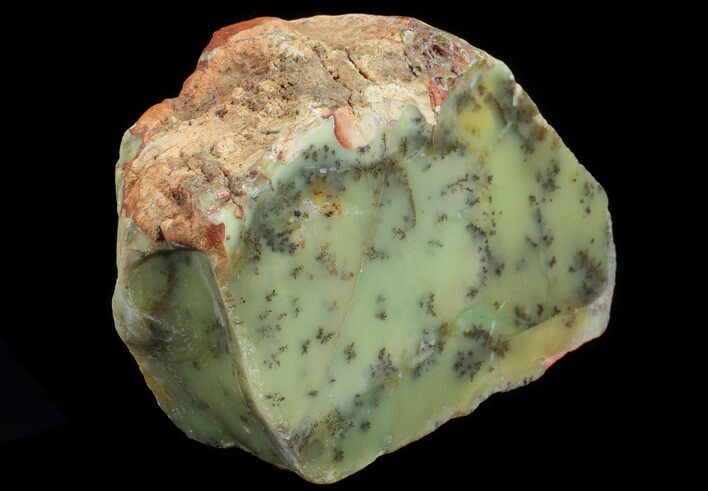 Polished Dendritic Opal (Moss Opal) - Australia #65418